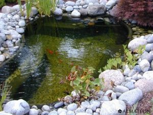 bassin-preforme