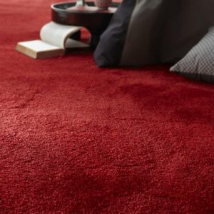 moquette-69554072